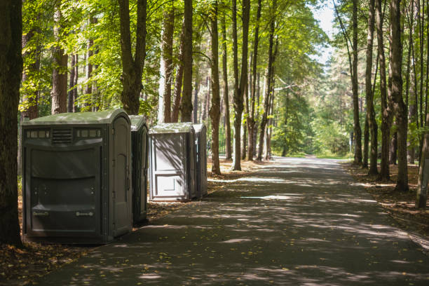 Best Porta potty rental near me  in Jackson, MN